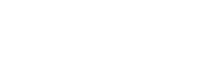 Cricket World cup